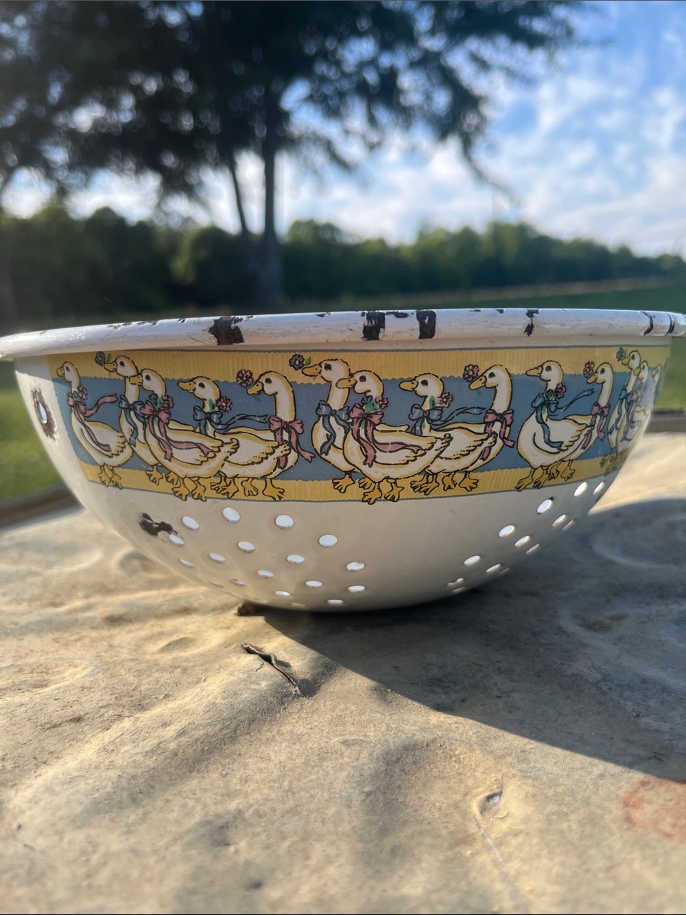 Decorative White Enamel Colander with Yellow and Blue Goose Border